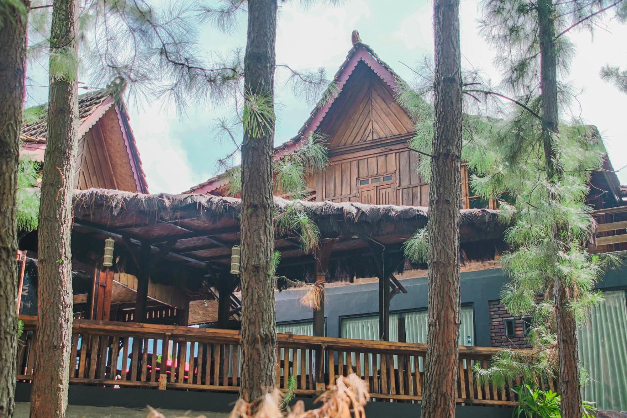 Omah Kayu Bromo Villa Ngadisari Exteriör bild