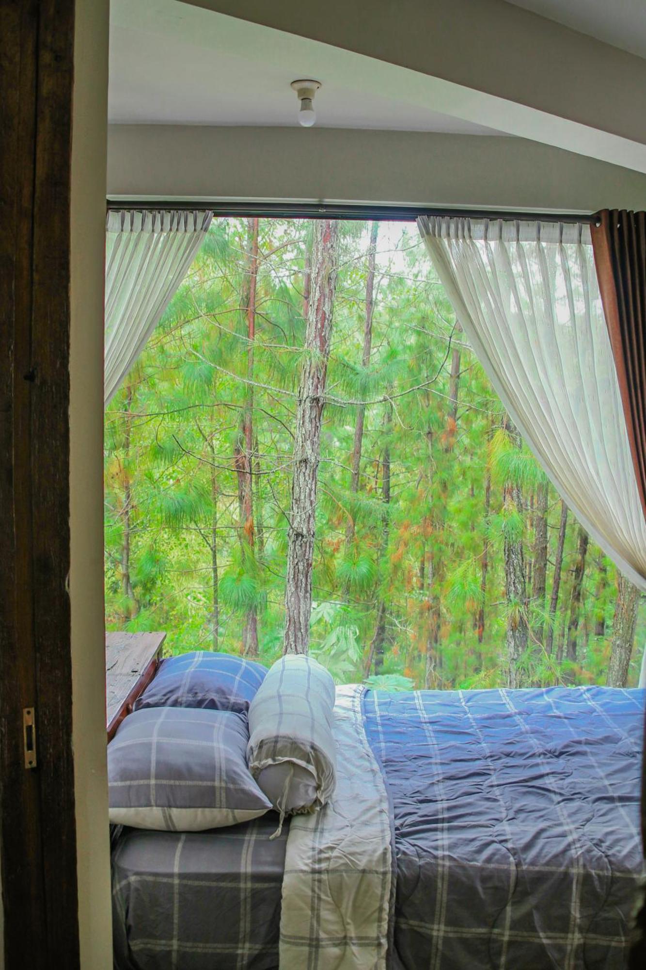 Omah Kayu Bromo Villa Ngadisari Exteriör bild
